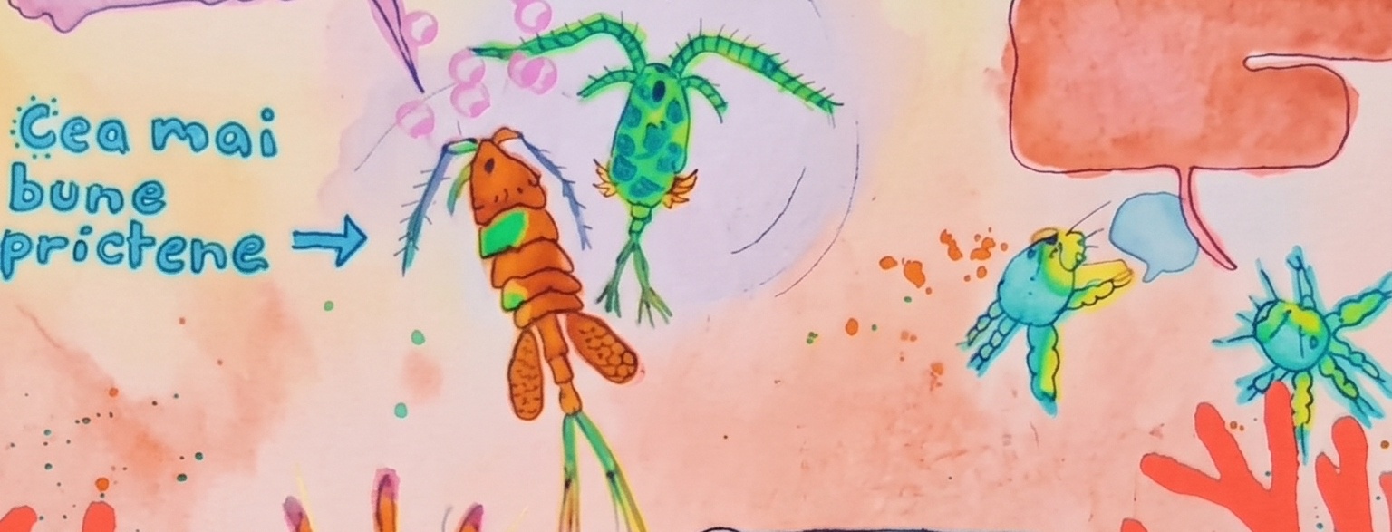 Watercolor illustration of several stylized planktonic microorganisms on a soft pink wash background, including a large orange copepod at the center and a green copepod above it, and two smaller larval plankton to the right. On the left, hand-drawn blue text reads in Romanian: "Cea mai bune prictene ->" (Best friends). The whole image has painted bubbles and splatters.